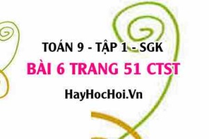 Bài 6 trang 51Toán 9 tập 1 Chân trời sáng tạo